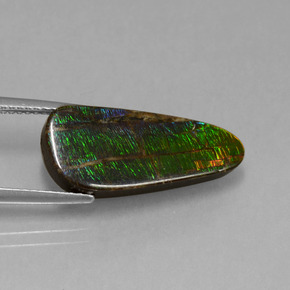Ammolite Multicolore naturale da 7.96 ct, Forma fantasia, Opaco
