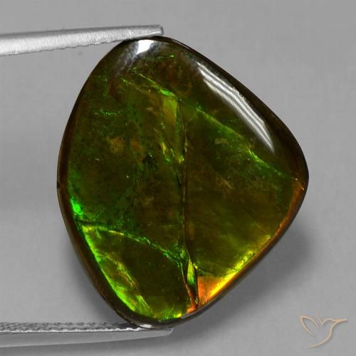 14.70ct Naturale Multicolore Ammolite, Taglio a fantasia, Opaco