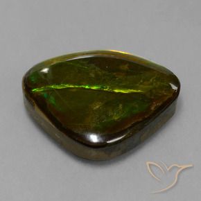 Ammolite Multicolore naturale da 14.70 ct, Taglio a fantasia, Opaco
