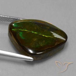 Ammolite Multicolore naturale da 14.70 ct, Taglio a fantasia, Opaco