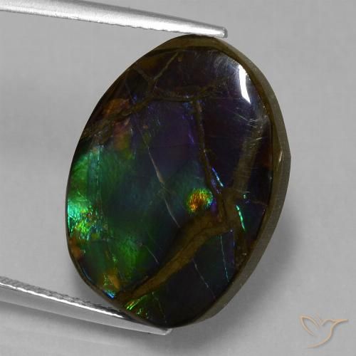13.58ct Naturale Multicolore Ammolite, Taglio a fantasia, Opaco