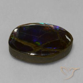 Ammolite Multicolore naturale da 13.58 ct, Taglio a fantasia, Opaco