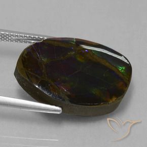 Ammolite Multicolore naturale da 13.58 ct, Taglio a fantasia, Opaco