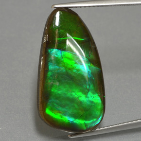 Ammolite Multicolore naturale da 12.83 ct, Forma fantasia, Opaco
