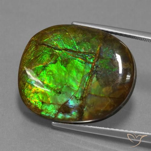 16.29ct Naturale Multicolore Ammolite, Taglio a fantasia, Opaco