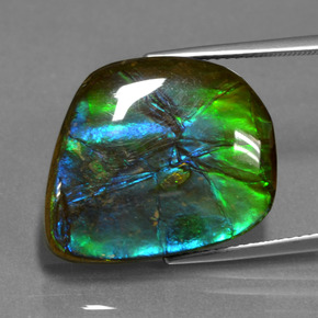 Ammolite naturale multicolore da 15,30 ct, forma fantasia, opaco