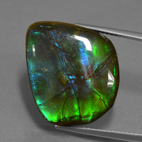 Ammolite naturale multicolore da 15,30 ct, forma fantasia, opaco