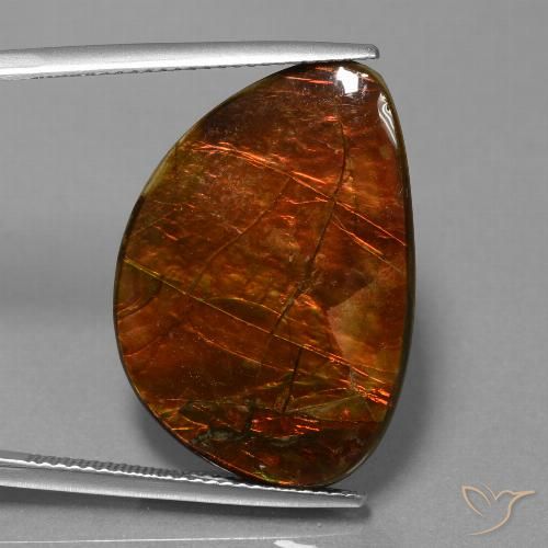 18.53ct Naturale Multicolore Ammolite, Taglio a fantasia, Opaco