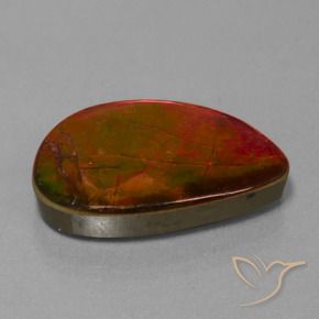 Ammolite Multicolore naturale da 18.53 ct, Taglio a fantasia, Opaco