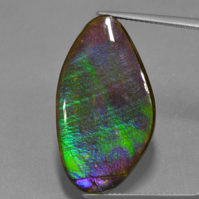 Ammolite Multicolore naturale da 17.25 ct, Forma fantasia, Opaco