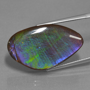 Ammolite Multicolore naturale da 17.25 ct, Forma fantasia, Opaco