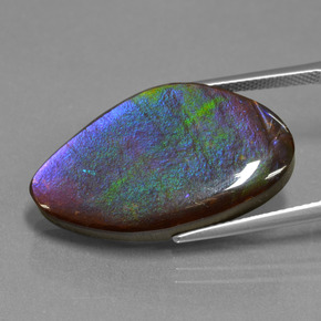 Ammolite Multicolore naturale da 17.25 ct, Forma fantasia, Opaco
