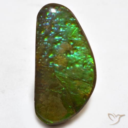 16.81ct Naturale Multicolore Ammolite, Taglio a fantasia, Opaco