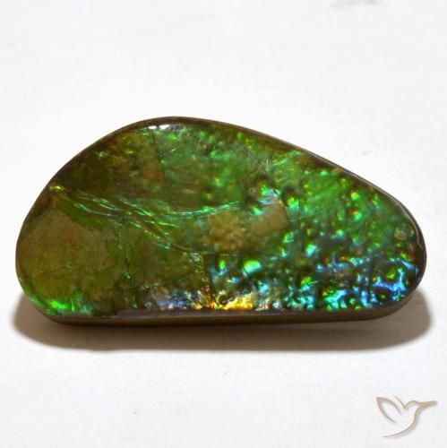 Ammolite Multicolore naturale da 16.81 ct, Taglio a fantasia, Opaco