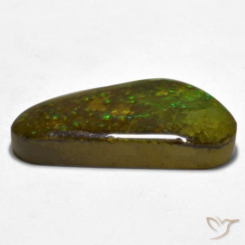Ammolite Multicolore naturale da 16.81 ct, Taglio a fantasia, Opaco