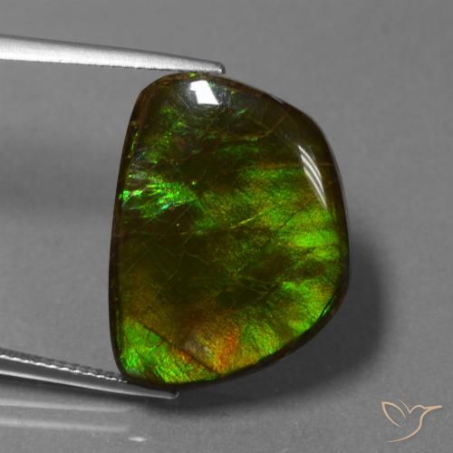 17.11ct Naturale Multicolore Ammolite, Taglio a fantasia, Opaco