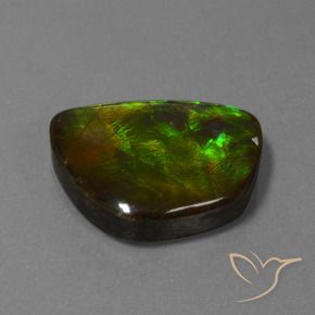 Ammolite Multicolore naturale da 17.11 ct, Taglio a fantasia, Opaco