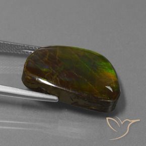 Ammolite Multicolore naturale da 17.11 ct, Taglio a fantasia, Opaco