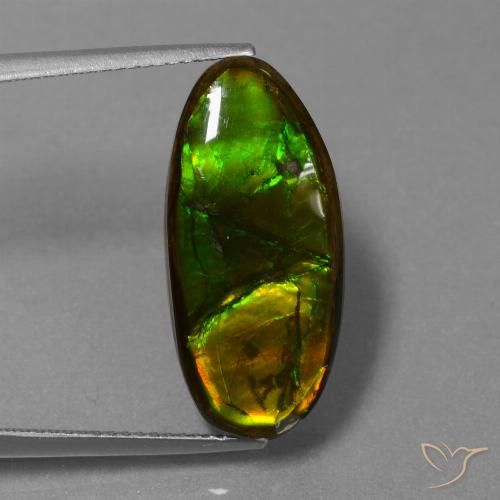 10.85ct Naturale Multicolore Ammolite, Taglio a fantasia, Opaco