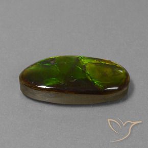 Ammolite Multicolore naturale da 10.85 ct, Taglio a fantasia, Opaco