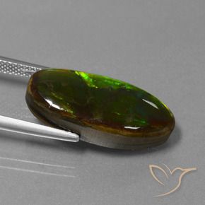 Ammolite Multicolore naturale da 10.85 ct, Taglio a fantasia, Opaco