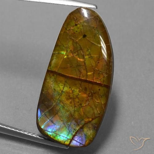 13.89ct Naturale Multicolore Ammolite, Taglio a fantasia, Opaco