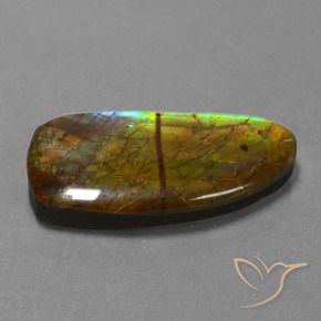 Ammolite Multicolore naturale da 13.89 ct, Taglio a fantasia, Opaco