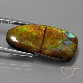 Ammolite Multicolore naturale da 13.89 ct, Taglio a fantasia, Opaco