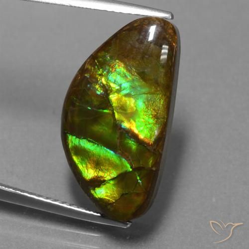 11.30ct Naturale Multicolore Ammolite, Taglio a fantasia, Opaco