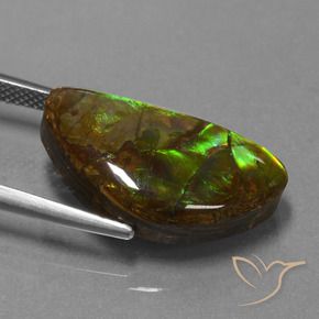 Ammolite Multicolore naturale da 11.30 ct, Taglio a fantasia, Opaco