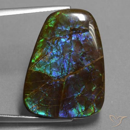 23.98ct Naturale Multicolore Ammolite, Taglio a fantasia, Opaco
