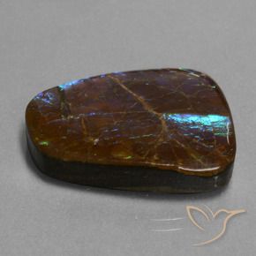 Ammolite Multicolore naturale da 23.98 ct, Taglio a fantasia, Opaco