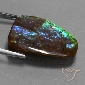 Ammolite Multicolore naturale da 23.98 ct, Taglio a fantasia, Opaco