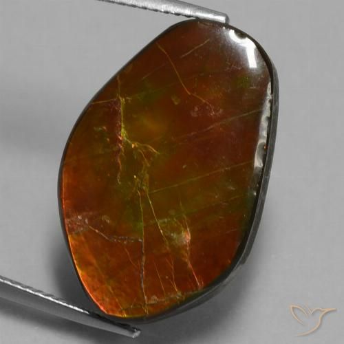 14.61ct Naturale Multicolore Ammolite, Taglio a fantasia, Opaco
