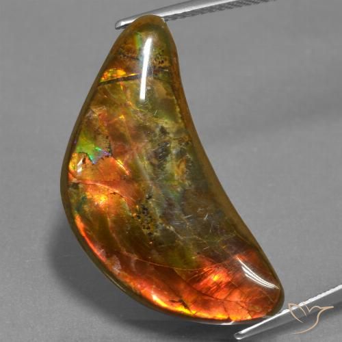 17.19ct Naturale Multicolore Ammolite, Taglio a fantasia, Opaco