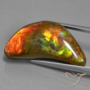 Ammolite Multicolore naturale da 17.19 ct, Taglio a fantasia, Opaco