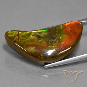 Ammolite Multicolore naturale da 17.19 ct, Taglio a fantasia, Opaco