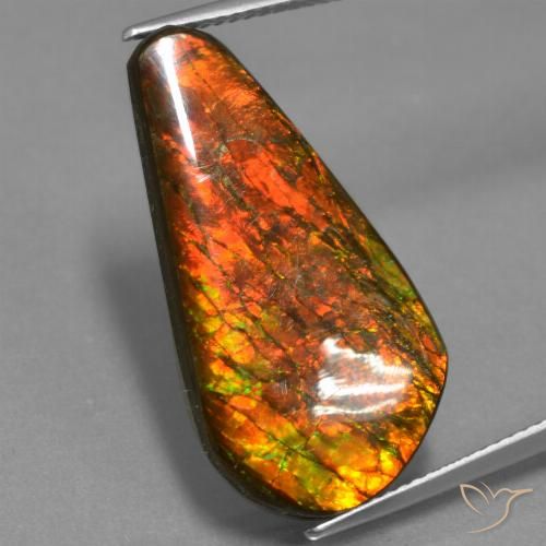 14.87ct Naturale Multicolore Ammolite, Taglio a fantasia, Opaco