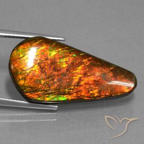 Ammolite Multicolore naturale da 14.87 ct, Taglio a fantasia, Opaco