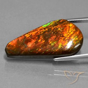 Ammolite Multicolore naturale da 14.87 ct, Taglio a fantasia, Opaco
