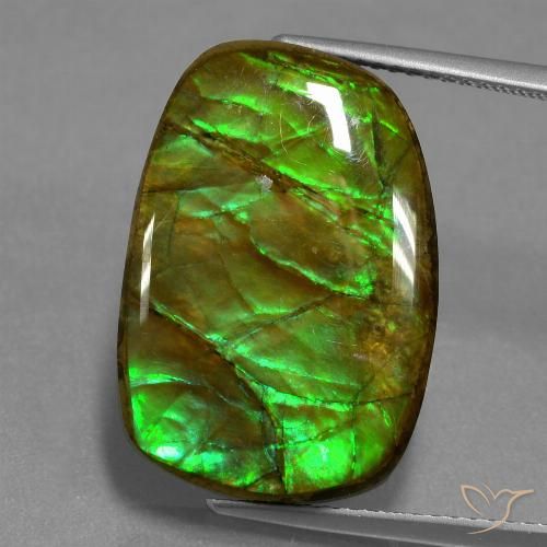 13.93ct Naturale Multicolore Ammolite, Taglio a fantasia, Opaco