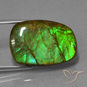 Ammolite Multicolore naturale da 13.93 ct, Taglio a fantasia, Opaco