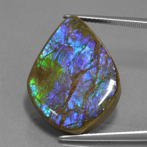 Ammolite naturale multicolore da 18,07 ct, forma fantasia, opaco