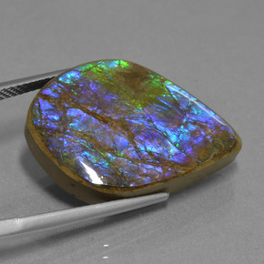 Ammolite naturale multicolore da 18,07 ct, forma fantasia, opaco
