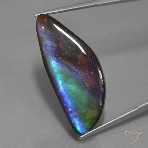 Ammolite naturale multicolore da 21,30 ct, forma fantasia, opaco