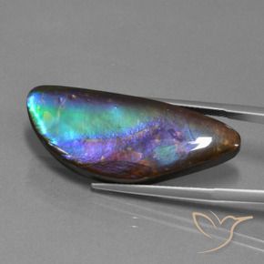 Ammolite naturale multicolore da 21,30 ct, forma fantasia, opaco