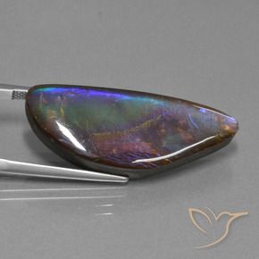 Ammolite naturale multicolore da 21,30 ct, forma fantasia, opaco