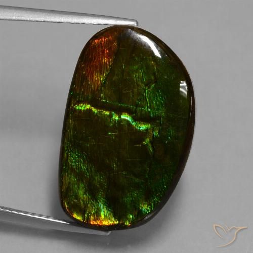 17.20ct Naturale Multicolore Ammolite, Taglio a fantasia, Opaco