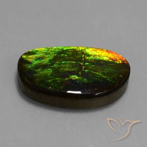 Ammolite Multicolore naturale da 17.20 ct, Taglio a fantasia, Opaco