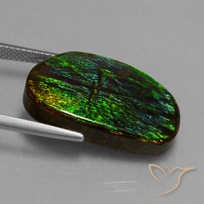 Ammolite Multicolore naturale da 17.20 ct, Taglio a fantasia, Opaco